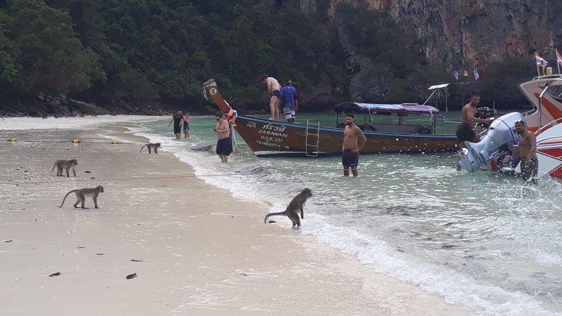 Thailand-Andamanensee-Monkey-Beach
