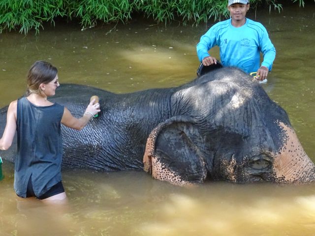 Thailand-Khao-Sok-Nationalpark-Elefantencamp