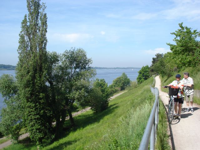 Elberadweg bei Wedel