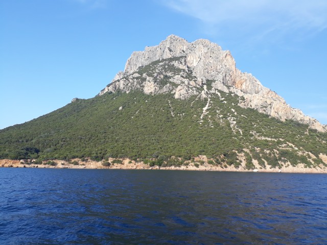 Insel La Tavolara, Sardinien